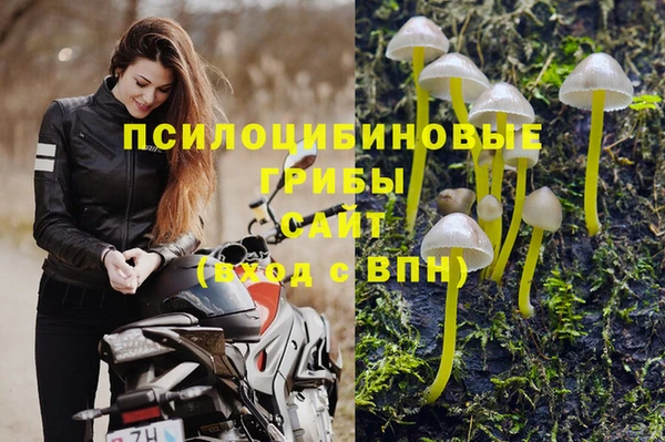 PSILOCYBIN Богородицк